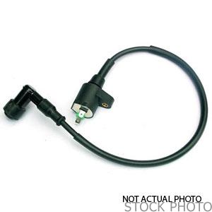 2003&nbsp;Lincoln&nbsp;LS&nbsp;Ignition Coil